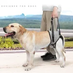 Dog Lift Harness for Large Dogs Soft Padded - Image 2